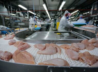 Quatro países abrem mercado para frango brasileiro, ampliando oportunidades e impulsionando a indústria avícola.