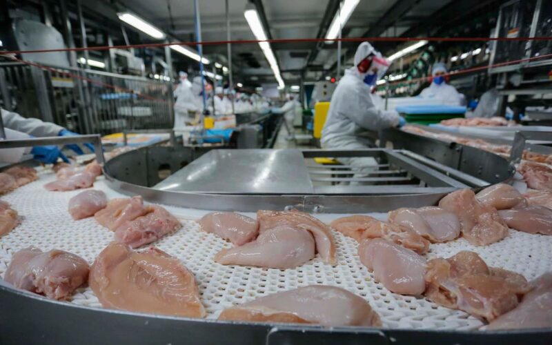 Quatro países abrem mercado para frango brasileiro, ampliando oportunidades e impulsionando a indústria avícola.