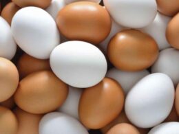 Queda de ovos em Cuba amplia dependência externa e aponta estratégias para garantir preços e abastecimento