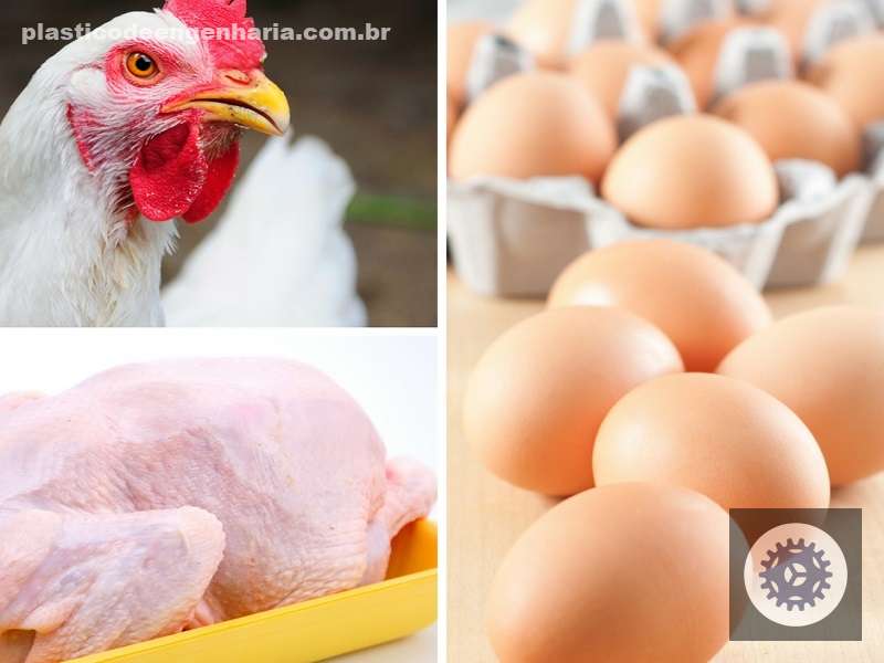 queda no abate de frangos e aumento na producao de