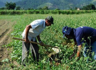 r 115 milhoes a mais para agricultores familiares um impulso