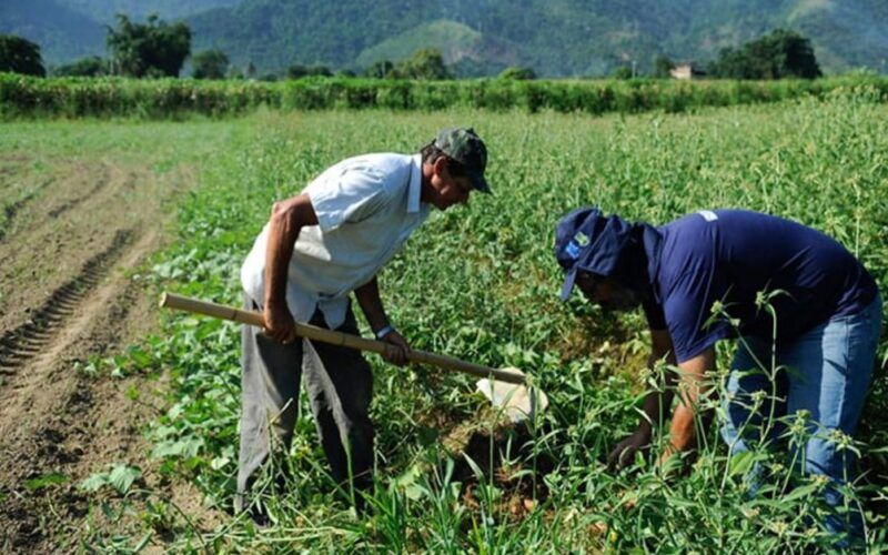 r 115 milhoes a mais para agricultores familiares um impulso