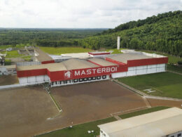 Rastreabilidade Bovina no Pará: A Aliança Inovadora que Protege o Meio Ambiente e Fortalece a Economia Local 16 rastreabilidade bovina no para a alianca inovadora que protege o