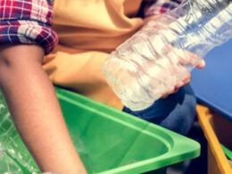 reciclagem em alta bacterias decompoem pet e plastico em grande