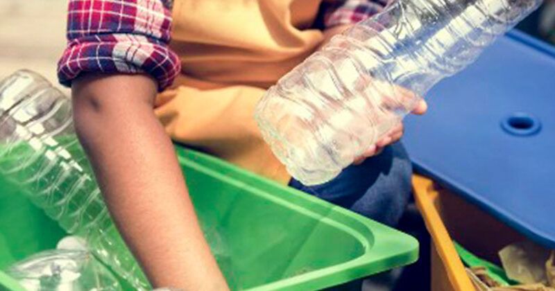 reciclagem em alta bacterias decompoem pet e plastico em grande