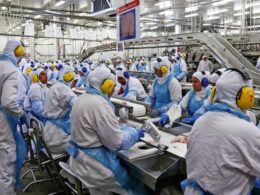 Recorde Histórico: Produção de Carnes em 2024 Ultrapassa 31 Milhões de Toneladas! 15 recorde historico producao de carnes em 2024 ultrapassa 31 milhoes