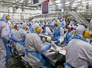 recorde historico producao de carnes em 2024 ultrapassa 31 milhoes