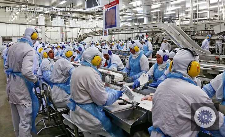 recorde historico producao de carnes em 2024 ultrapassa 31 milhoes