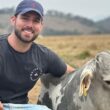 Recriação Intensiva a Pasto garante 1@ por mês e maximiza a produtividade da sua fazenda