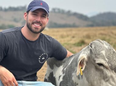 Recriação Intensiva a Pasto garante 1@ por mês e maximiza a produtividade da sua fazenda