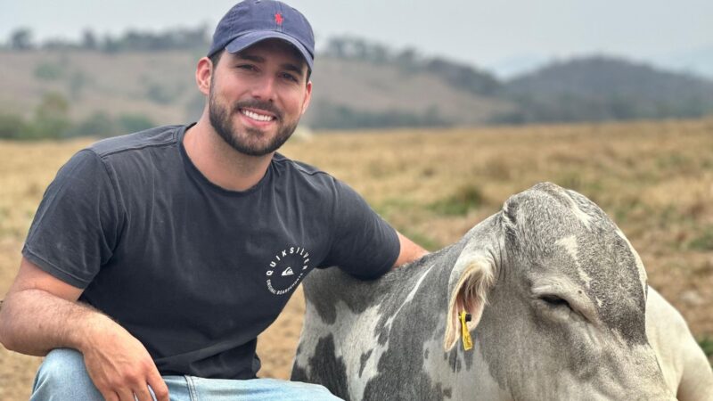 Recriação Intensiva a Pasto garante 1@ por mês e maximiza a produtividade da sua fazenda
