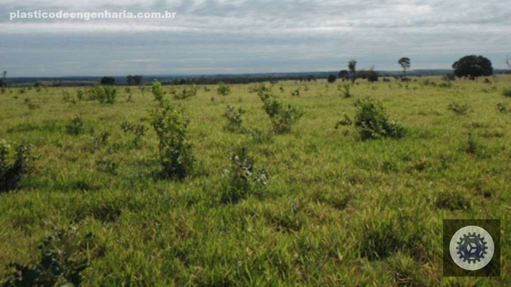 Inoculante potencializa nutrição do pasto e eleva produtividade em mais de 20% para pecuários mais eficientes 3 recuperar ou reformar pastagem pasto degradado 27.03.2025 4