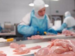 reforma tributaria carnes excluidas da cesta basica impacto no