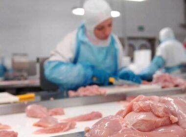reforma tributaria carnes excluidas da cesta basica impacto no