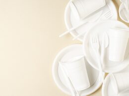 Resinas biodegradáveis são usadas em embalagens, descartáveis e filmes agrícolas 12 Resinas biodegradáveis são usadas em embalagens, descartáveis e filmes agrícolas