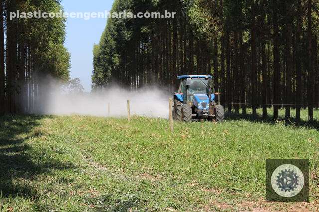 Gesso agrícola potencializa enraizamento de milho e sorgo, aumentando produção de silagem de forma eficaz 3 Calagem em pasto já estabelecido: técnica pode ser eficiente?