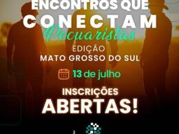 revolucao na pecuaria descubra o futuro do bezerro no ms