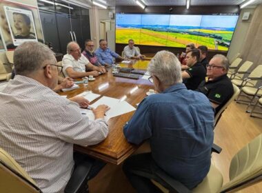revolucao na suinocultura parceria inovadora transforma toledo pr