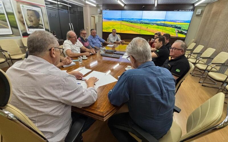 revolucao na suinocultura parceria inovadora transforma toledo pr