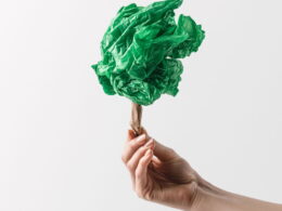 revolucao verde inovacoes em plasticos biodegradaveis de milho e produtos