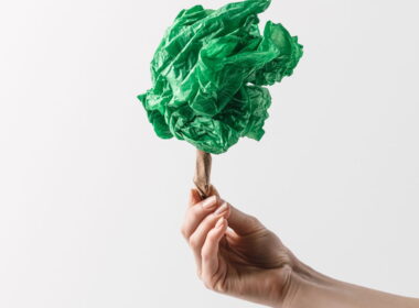 revolucao verde inovacoes em plasticos biodegradaveis de milho e produtos