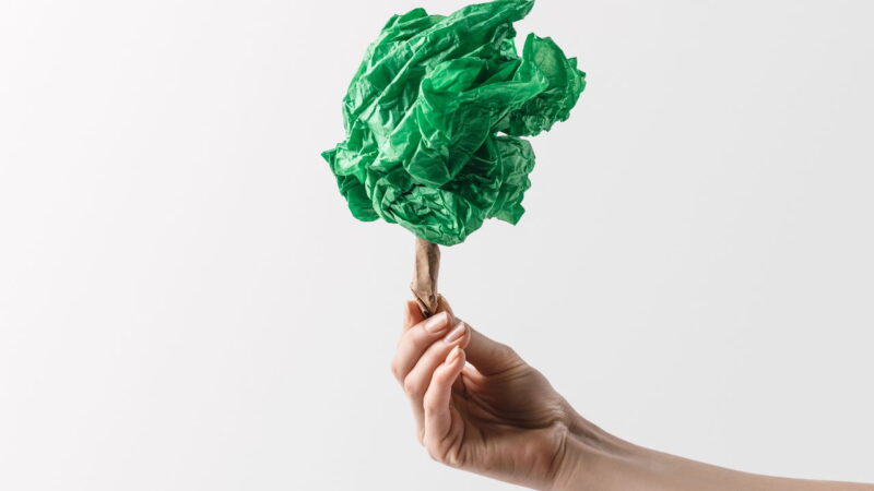 revolucao verde inovacoes em plasticos biodegradaveis de milho e produtos