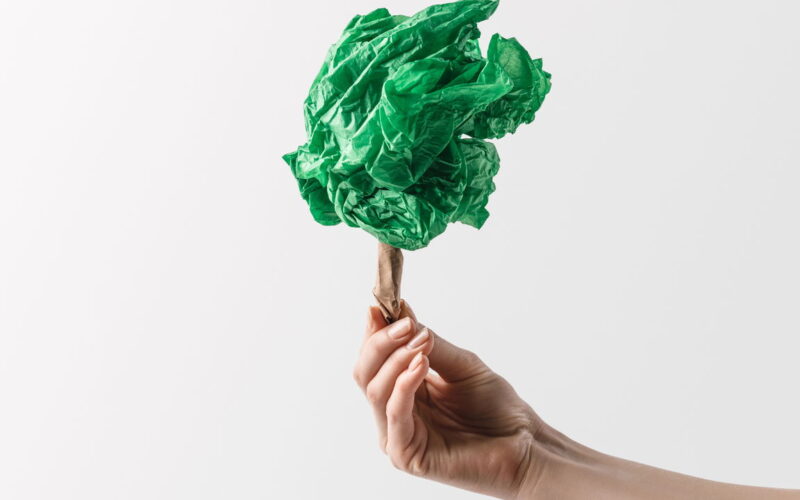 revolucao verde inovacoes em plasticos biodegradaveis de milho e produtos