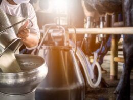 revolucione sua pecuaria a tecnologia nutricional que transforma sustentabilidade em