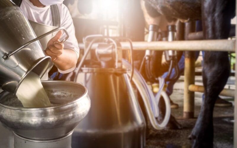 revolucione sua pecuaria a tecnologia nutricional que transforma sustentabilidade em