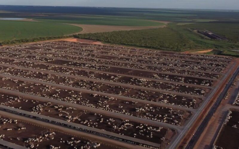 Conheça as tecnologias que estão turbinando a eficiência da engorda do gado no cocho