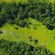 Produtores de MT conhecem Plataforma Pecuária Transparente e Escritórios Verdes