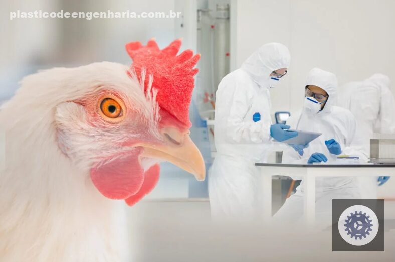 Rio Grande do Sul avança na luta contra a Influenza Aviária com fim do vazio sanitário e segurança para a avicultura.