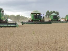 Safra 2024/2025 traz produção de grãos de 330,3 milhões de toneladas e oportunidades para o setor agropecuário 15 Safra 2024/2025 traz produção de grãos de 330,3 milhões de toneladas e oportunidades para o setor agropecuário