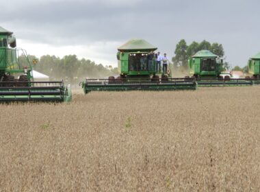 Safra 2024/2025 traz produção de grãos de 330,3 milhões de toneladas e oportunidades para o setor agropecuário