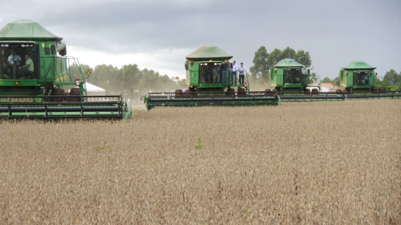 Safra 2024/2025 traz produção de grãos de 330,3 milhões de toneladas e oportunidades para o setor agropecuário