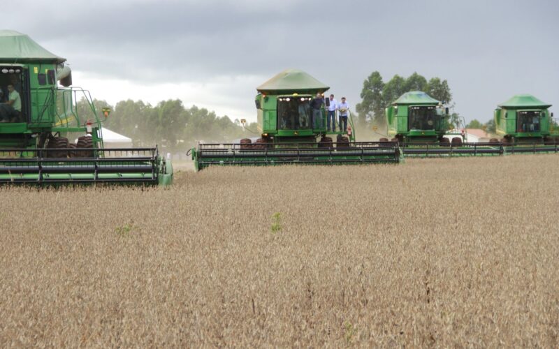 Safra 2024/2025 traz produção de grãos de 330,3 milhões de toneladas e oportunidades para o setor agropecuário