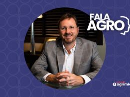 Safra 25/26 de grãos pode ser recorde com 354 milhões de toneladas e fortalecer exportações e renda no campo