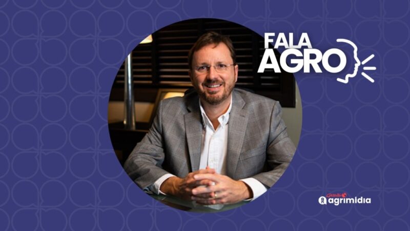 Safra 25/26 de grãos pode ser recorde com 354 milhões de toneladas e fortalecer exportações e renda no campo