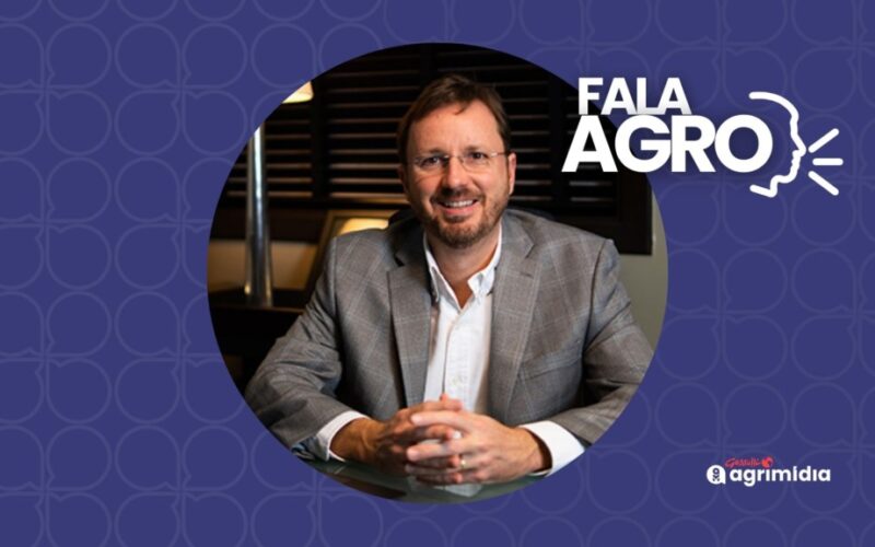 Safra 25/26 de grãos pode ser recorde com 354 milhões de toneladas e fortalecer exportações e renda no campo