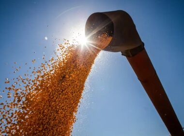 Safra de grãos 2024/25 promete crescimento robusto, impulsionando a economia e garantindo segurança alimentar.