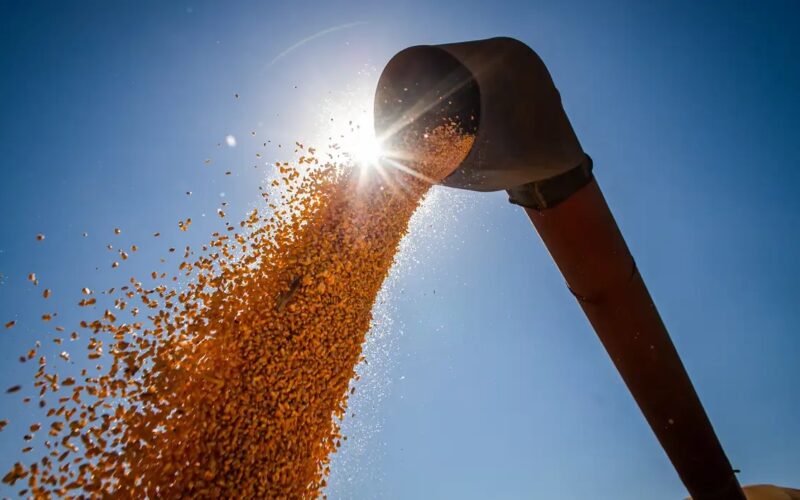 Safra de grãos 2024/25 promete crescimento robusto, impulsionando a economia e garantindo segurança alimentar.
