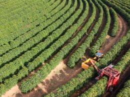 santa catarina investe r 84 milhoes para proteger agricultores com