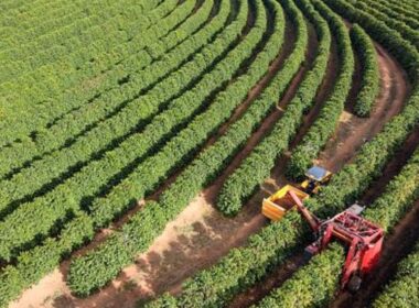 santa catarina investe r 84 milhoes para proteger agricultores com