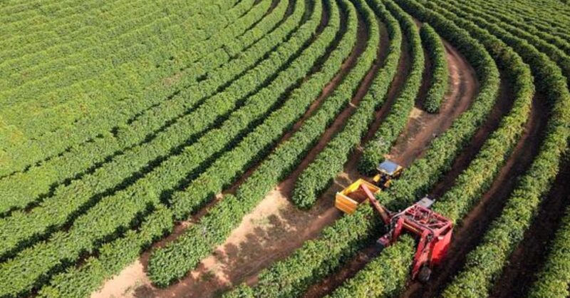 santa catarina investe r 84 milhoes para proteger agricultores com