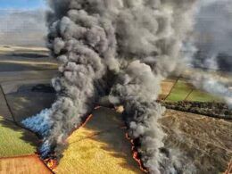 sao martinho valoriza na bolsa mas prejuizo pelo incendio em