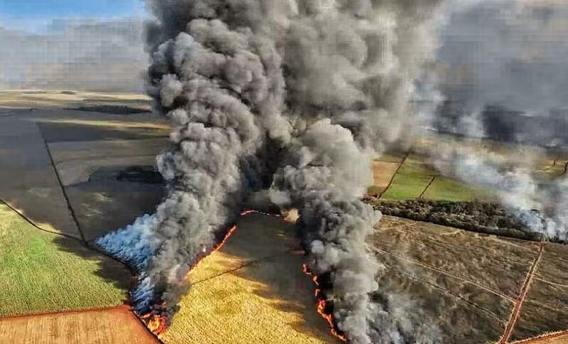 sao martinho valoriza na bolsa mas prejuizo pelo incendio em