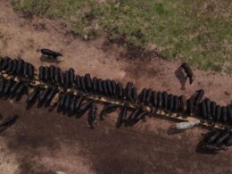 Seis Regras de Ouro para Alcançar o Sucesso na TIP e Transformar Seus Resultados 31 Seis Regras de Ouro para Alcançar o Sucesso na TIP e Transformar Seus Resultados