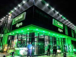 sem receio de inadimplencia sicredi dobra aposta no plano safra