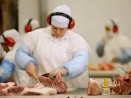 Sema fecha parcialmente frigorífico em MT por risco ambiental com impacto em abastecimento e preços da carne