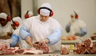 Sema fecha parcialmente frigorífico em MT por risco ambiental com impacto em abastecimento e preços da carne